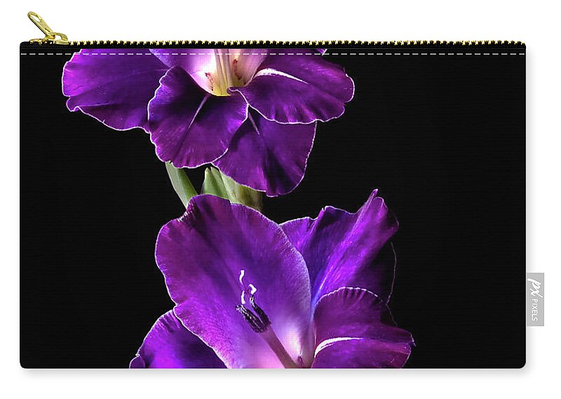 Flower Zip Pouch featuring the photograph Dark Gladiolas by Endre Balogh