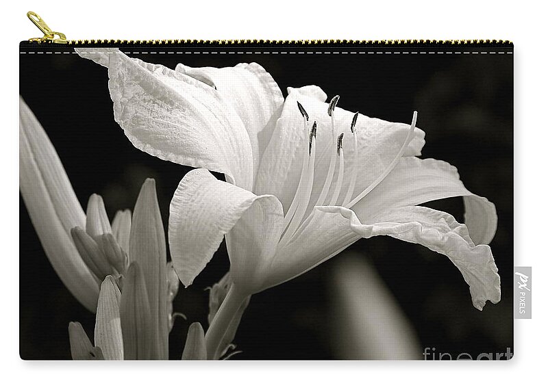 Black And White Photography Zip Pouch featuring the photograph Daylily Study in BW IV by Sue Stefanowicz