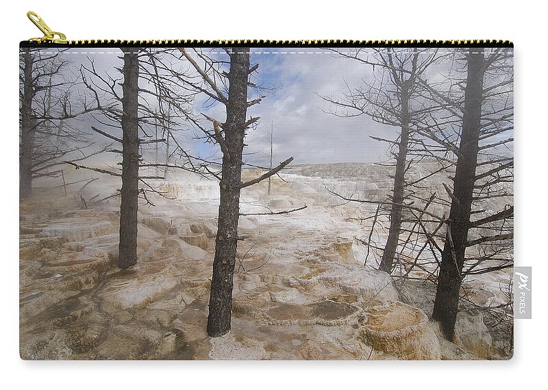 Mp Zip Pouch featuring the photograph Dead Trees In Mammoth Hot Springs by Pete Oxford