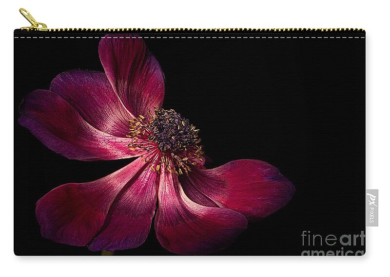 Anemone Zip Pouch featuring the photograph Deep Pink Anemone - 2 by Ann Garrett