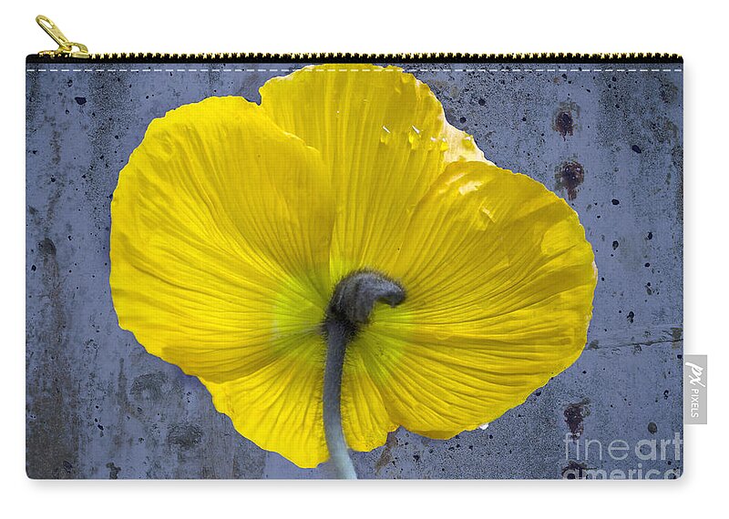 Poppy Zip Pouch featuring the photograph Delicate and Strong by Heiko Koehrer-Wagner