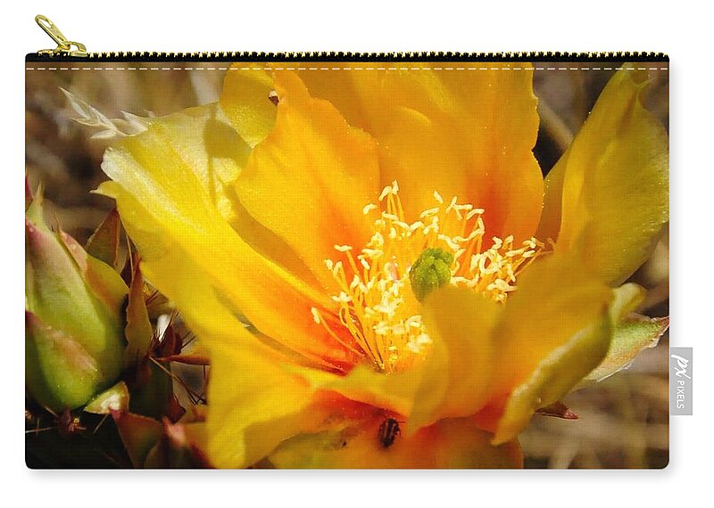  Zip Pouch featuring the photograph Desert Bloom by Mark Valentine