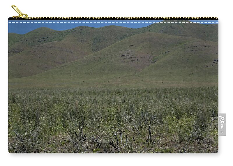 Desert Grass Zip Pouch featuring the photograph Desert Grass by Sara Stevenson