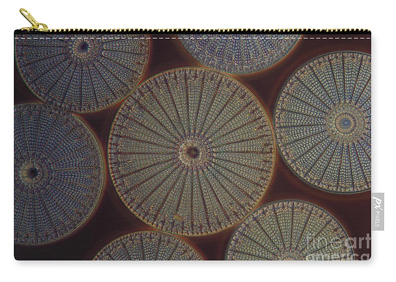 Diatom Zip Pouch featuring the photograph Diatom - Arachnoidiscus by M. I. Walker