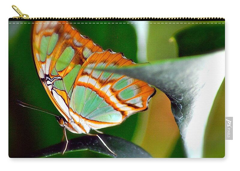  Butterfly Zip Pouch featuring the photograph Dido Longwing Butterfly by Peggy Franz