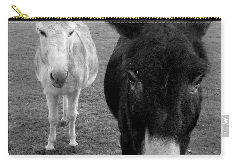 Donkeys Carry-all Pouch featuring the photograph Donks by Kim Galluzzo Wozniak