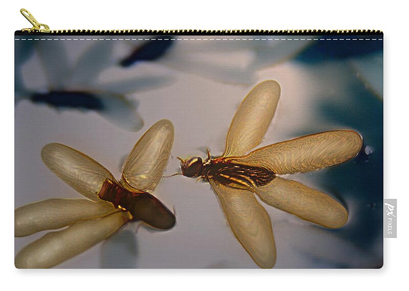  Zip Pouch featuring the photograph Dragon Floats by Vicki Ferrari