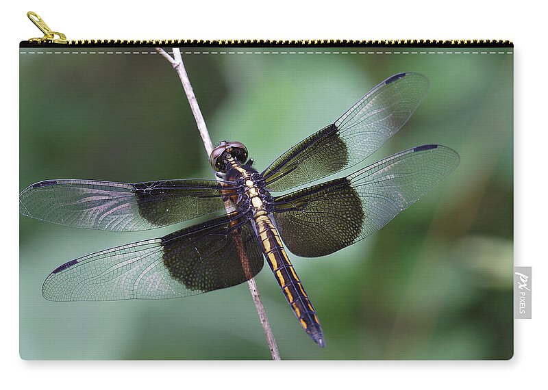 Insect Zip Pouch featuring the photograph Dragonfly by Daniel Reed