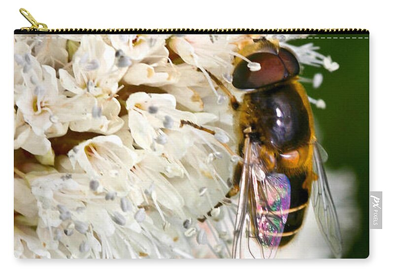 Drone Fly Zip Pouch featuring the photograph Drone Fly by Mitch Shindelbower