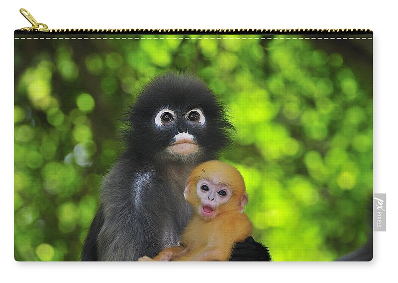 00450278 Zip Pouch featuring the photograph Dusky Leaf Monkey And Baby by Thomas Marent