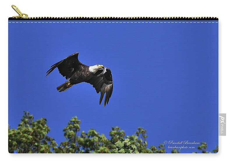 Eagle Over Tree Top Zip Pouch featuring the photograph Eagle Over The Tree Top by Randall Branham