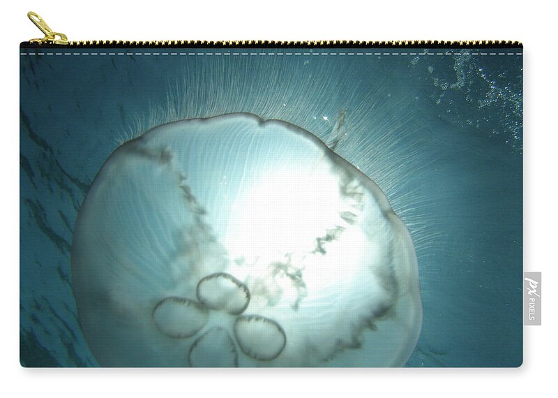 Nature Ocean Wildlife Blue Zip Pouch featuring the photograph Eclipse by Kimberly Mohlenhoff