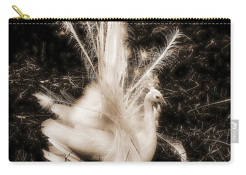 Peacock Zip Pouch featuring the photograph Effervescence III by Rory Siegel