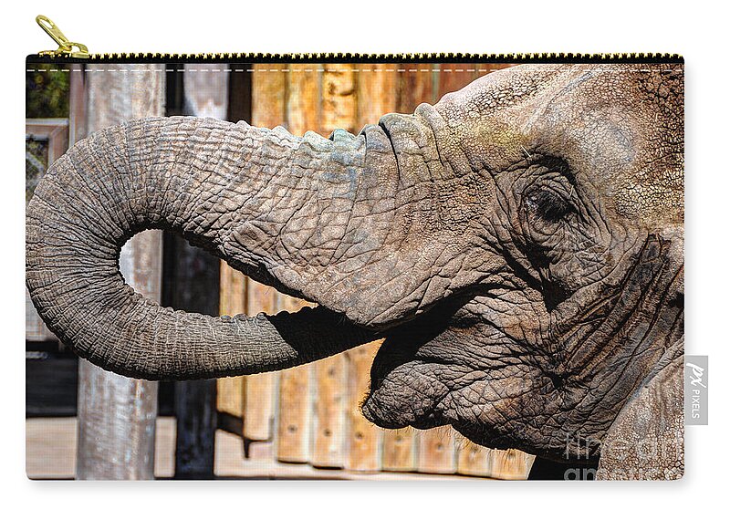 Elephant Zip Pouch featuring the photograph Elephant Feeding Time at the Zoo by Gary Whitton