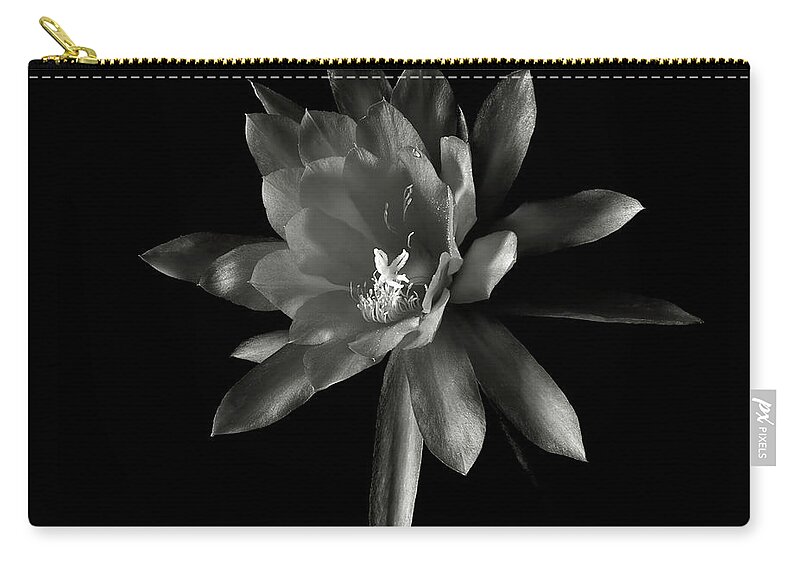 Flower Zip Pouch featuring the photograph Epyphylum Padre in Black and White by Endre Balogh
