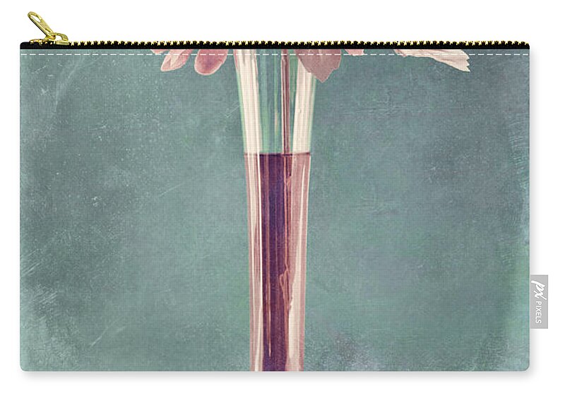still Life Zip Pouch featuring the photograph Estillo Vase - s01v4b2t03 by Variance Collections