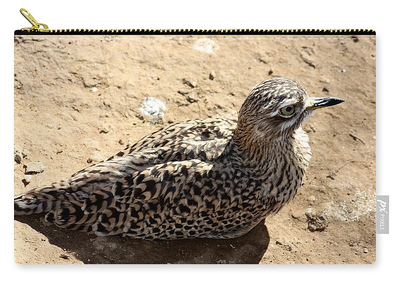 Bird Zip Pouch featuring the photograph Exotic bird by Kim Galluzzo