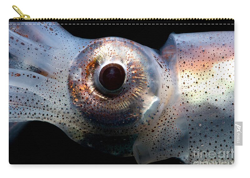 Eye Flash Squid Zip Pouch featuring the photograph Eye Flash Squid by Dant Fenolio