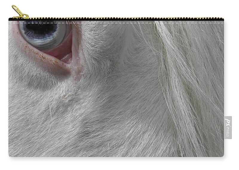 Gypsy Vanner Horse Zip Pouch featuring the photograph eye so blue and I see you by Kim Galluzzo