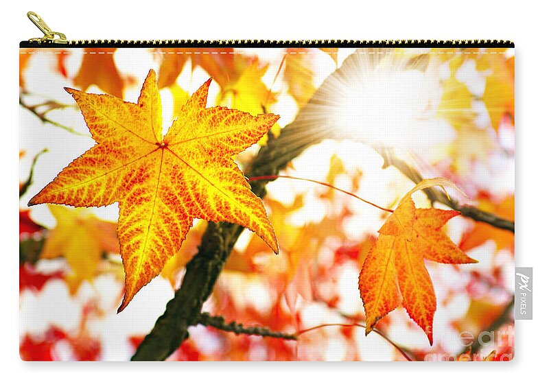 Autumn Zip Pouch featuring the photograph Fall Colors by Carlos Caetano