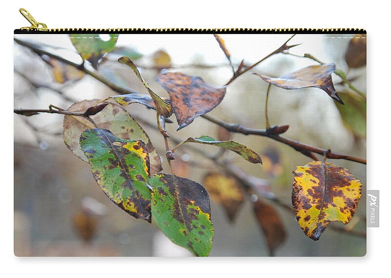 Fall Zip Pouch featuring the photograph Fall by Michael Merry