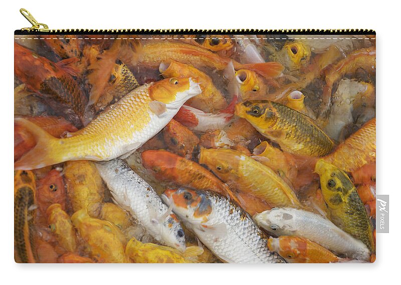 Fish Zip Pouch featuring the photograph Feeding frenzy by Christopher Rowlands