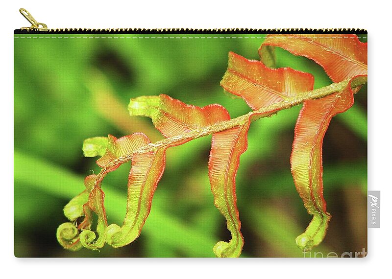New Zealand Zip Pouch featuring the photograph Fern Curls by Michele Penner