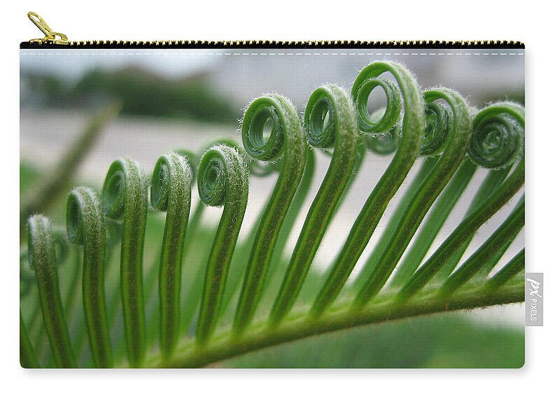 Fern Fronds Zip Pouch featuring the photograph Fern Fronds Macro by Nikki Marie Smith