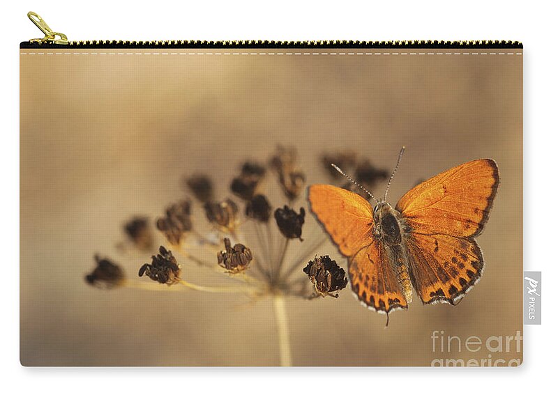 Orange Zip Pouch featuring the photograph Fiery Copper butterfly by Alon Meir 