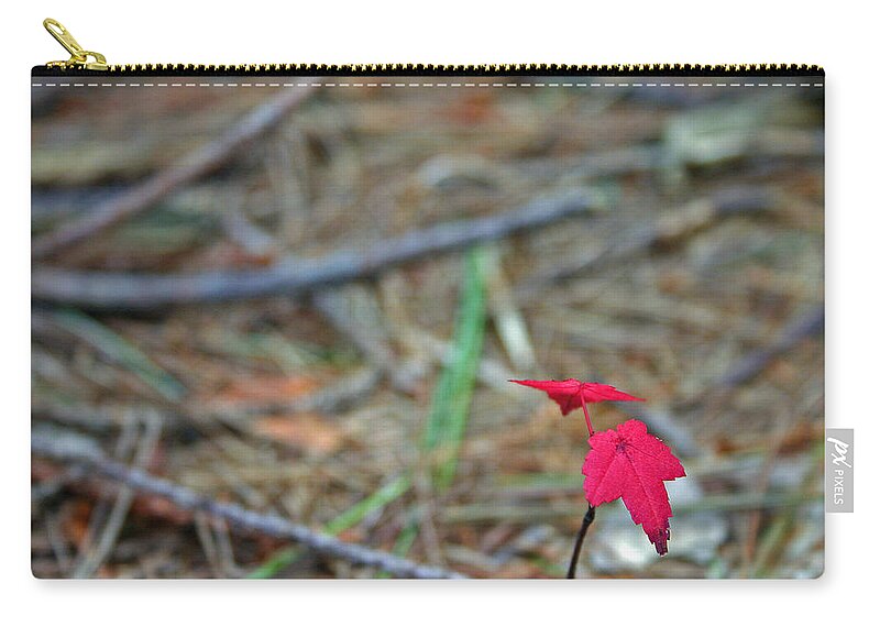 Autumn Zip Pouch featuring the photograph First Autumn by David Rucker