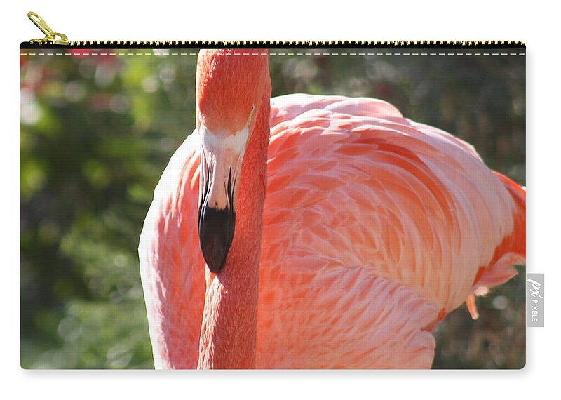 Flamingo Zip Pouch featuring the photograph Flamingo by Kim Galluzzo Wozniak