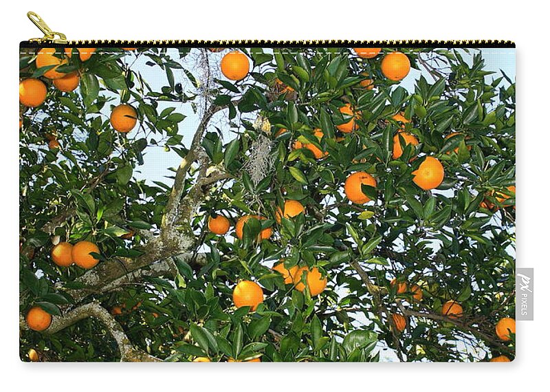 Orange Zip Pouch featuring the photograph Florida Oranges by Carol Groenen