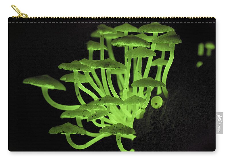 00426483 Zip Pouch featuring the photograph Fluorescent Fungus by Thomas Marent