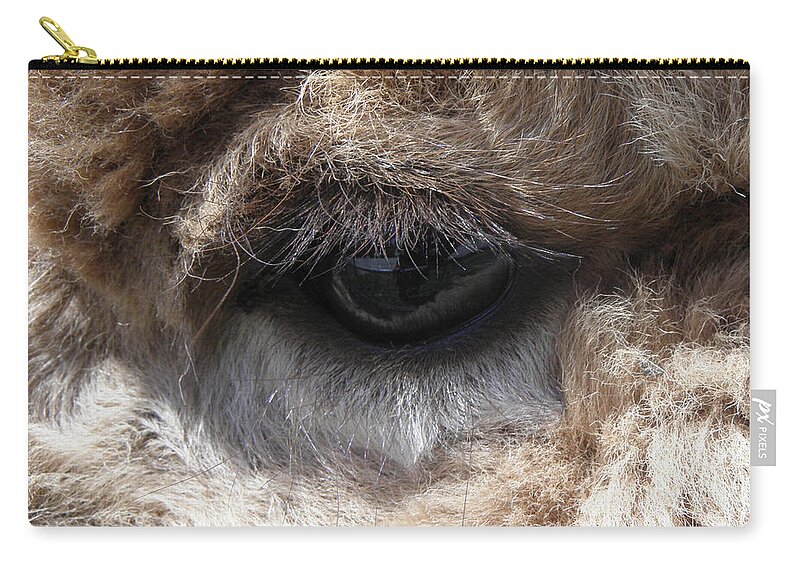 Alpaca Zip Pouch featuring the photograph Fluffy Eyes by Kim Galluzzo