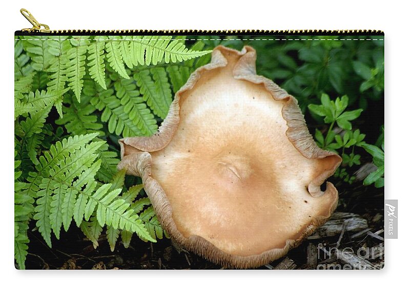 Forest Zip Pouch featuring the photograph Forest Floor by Living Color Photography Lorraine Lynch