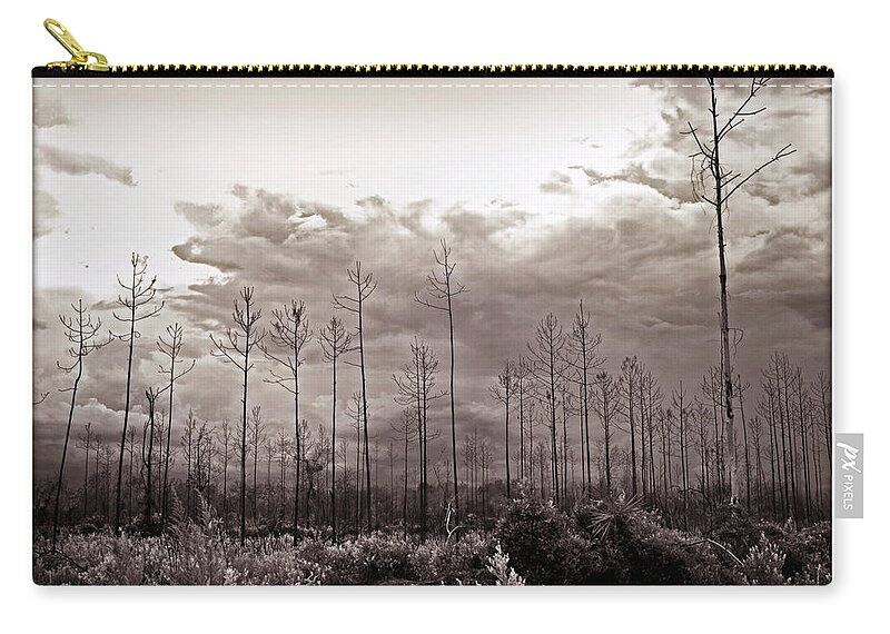 Tree Carry-all Pouch featuring the photograph Forest Regrowth by Farol Tomson