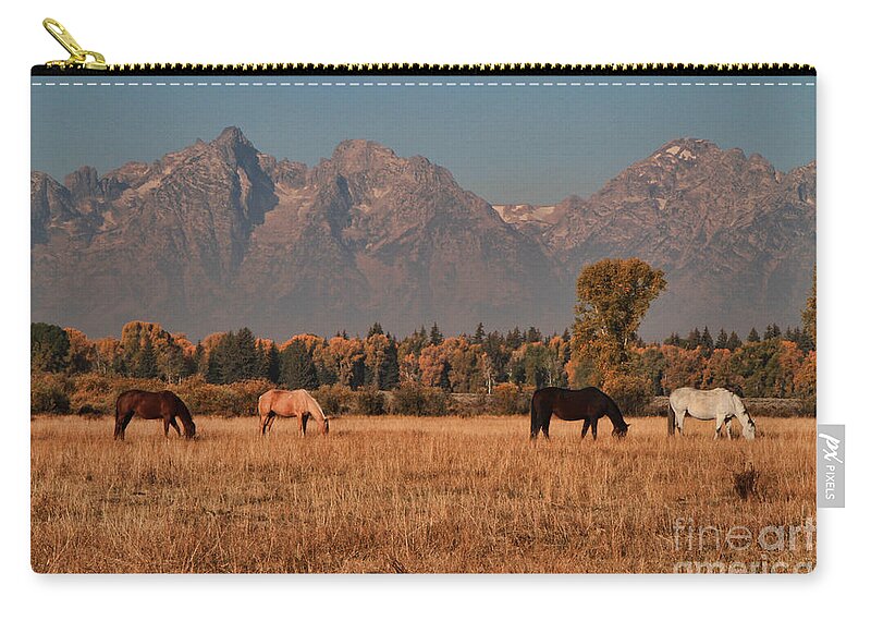 Horses Zip Pouch featuring the photograph Four Horses by Edward R Wisell