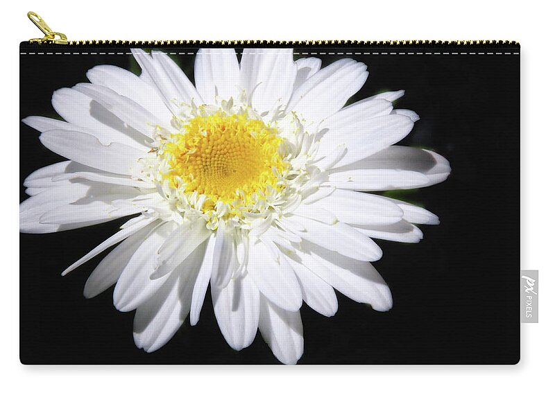 Nature Zip Pouch featuring the photograph Frilly Daisy by Peg Runyan