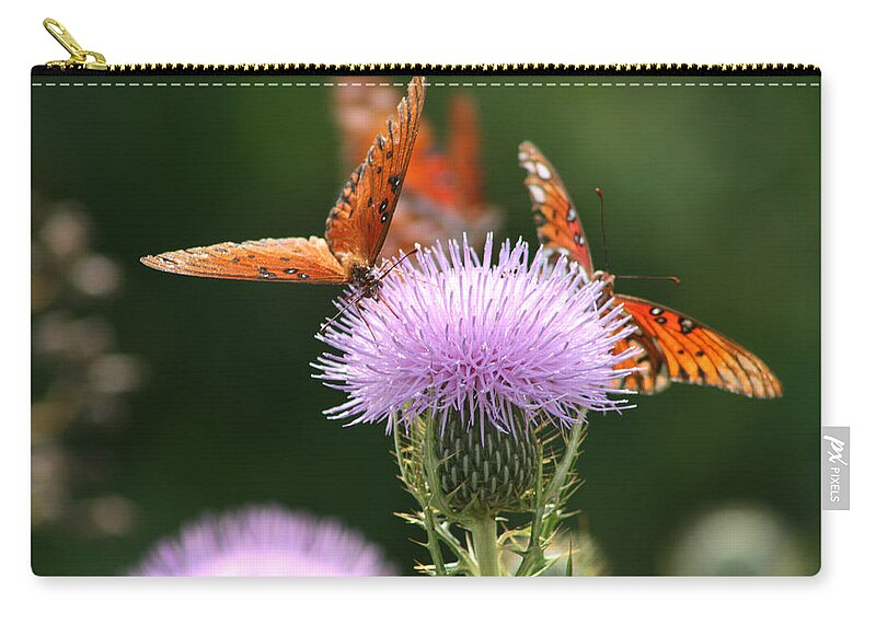 Euphydryas Aurinia Zip Pouch featuring the photograph Fritillary Wings and Thistles by Kathy Clark