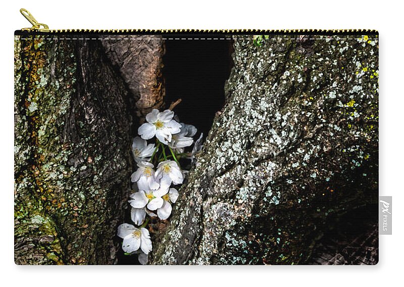Cherry Zip Pouch featuring the photograph From the Heart by Christopher Holmes