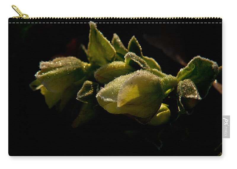 Plant Zip Pouch featuring the photograph Frosted Helleborus Blossoms by Douglas Barnett