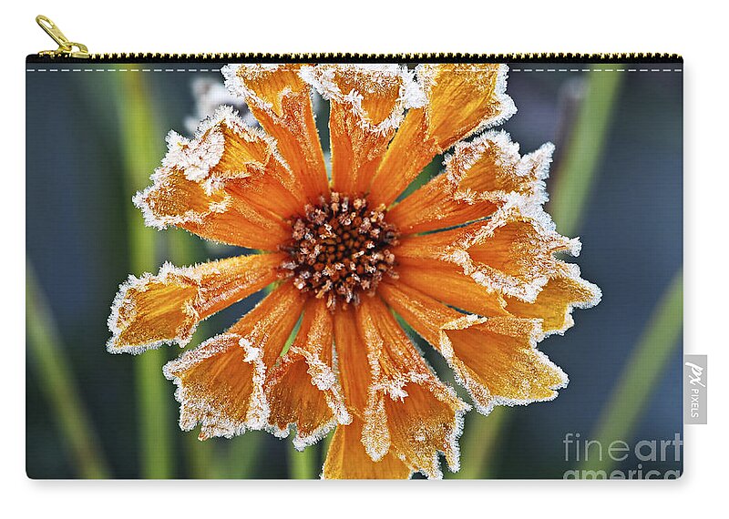 Flower Zip Pouch featuring the photograph Frosty flower 2 by Elena Elisseeva
