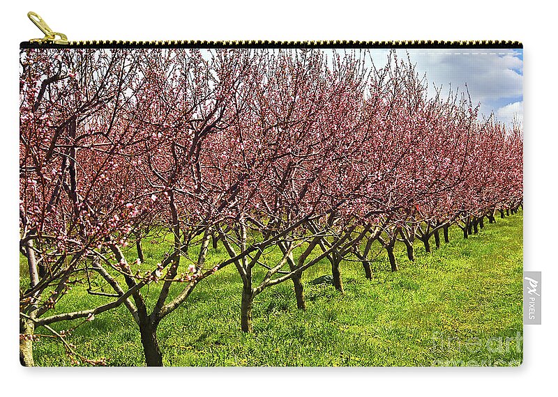 Orchard Zip Pouch featuring the photograph Fruit orchard by Elena Elisseeva