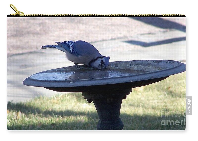 Blue Jay Zip Pouch featuring the photograph Frustration by Dorrene BrownButterfield