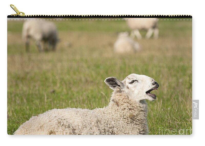 Britain Zip Pouch featuring the photograph Funny Sheep by Andrew Michael