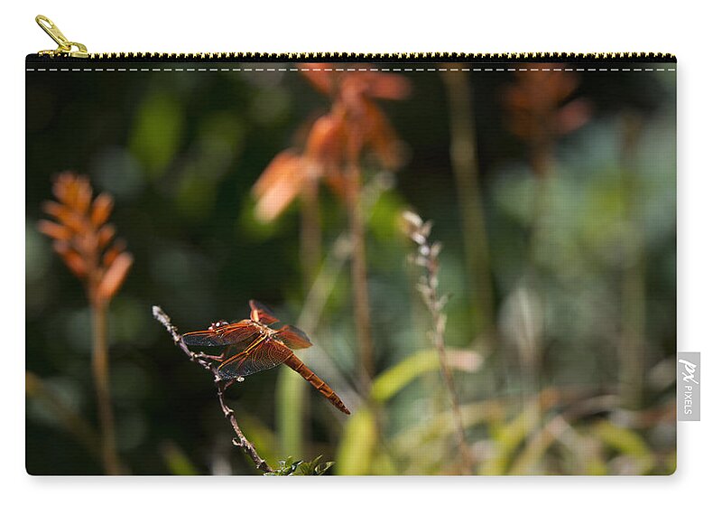 Dragonfly Zip Pouch featuring the photograph Garden Orange by Priya Ghose
