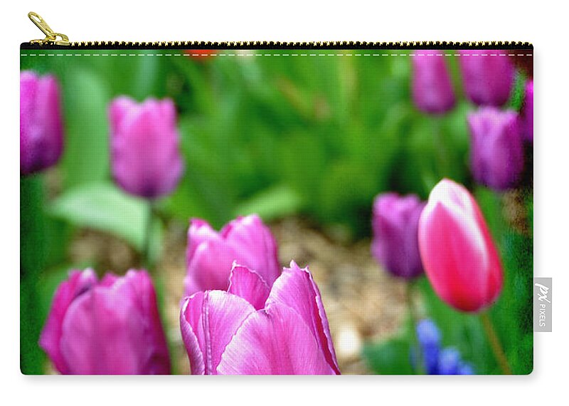 Multicolored Zip Pouch featuring the photograph Gardening by Angelina Tamez