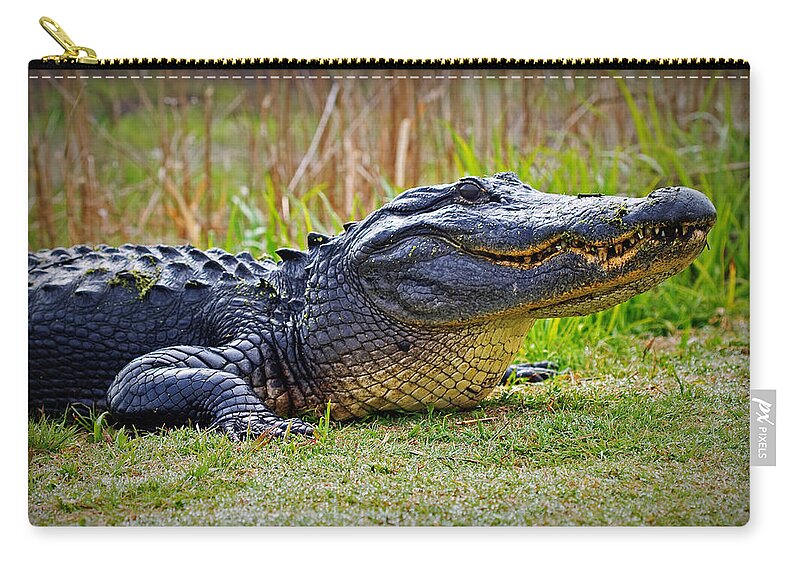 Alligator Zip Pouch featuring the photograph Gator by Farol Tomson