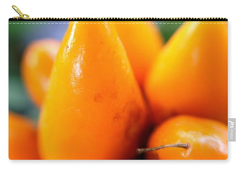 Photo Art Zip Pouch featuring the photograph Ghost in the Pepper by Chriss Pagani