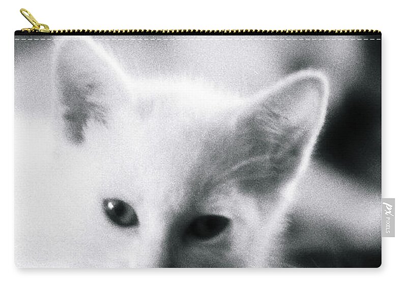 Cat Zip Pouch featuring the photograph Ghost Kitties by Rory Siegel